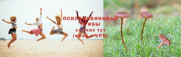 2c-b Аркадак