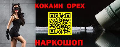 СК Шахты