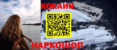 СК Шахты