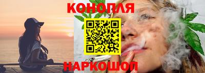 СК Шахты