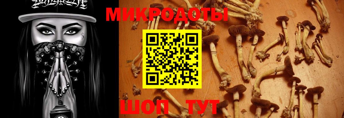 Галлюциногенные грибы Magic Shrooms Новомосковск