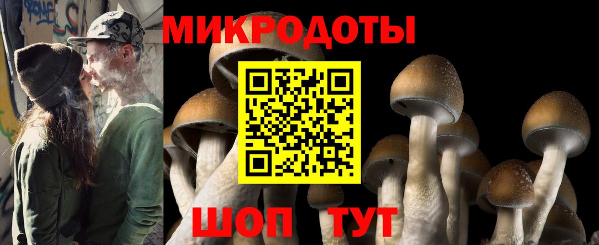 Новомосковск  Галлюциногенные грибы прущие грибы  Вход с VPN 